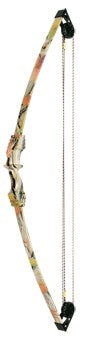 Compound bow youth, bow and arrow with quiver, arrows